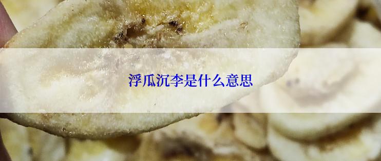 浮瓜沉李是什么意思