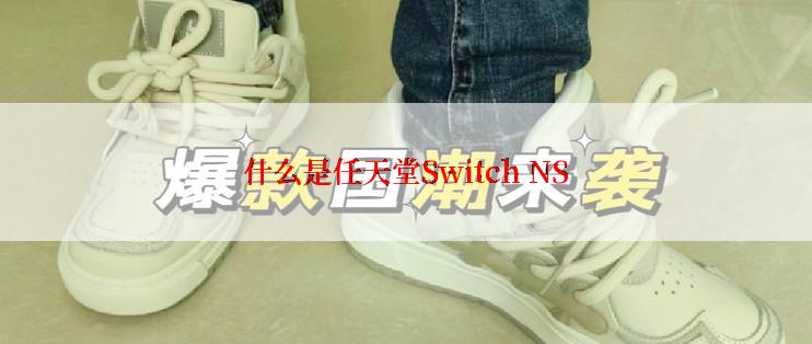 什么是任天堂Switch NS