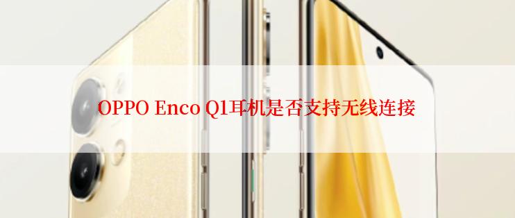 OPPO Enco Q1耳机是否支持无线连接