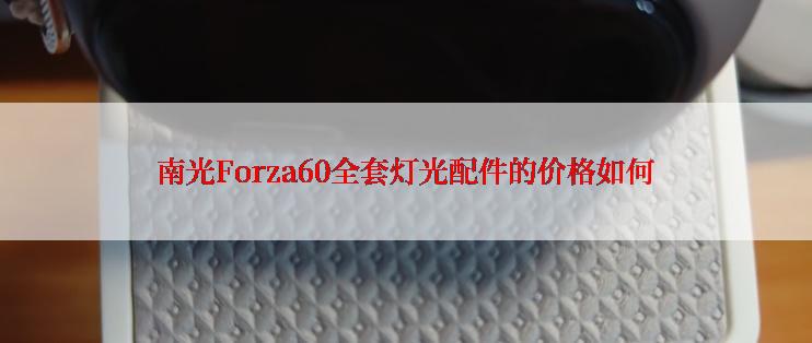 南光Forza60全套灯光配件的价格如何