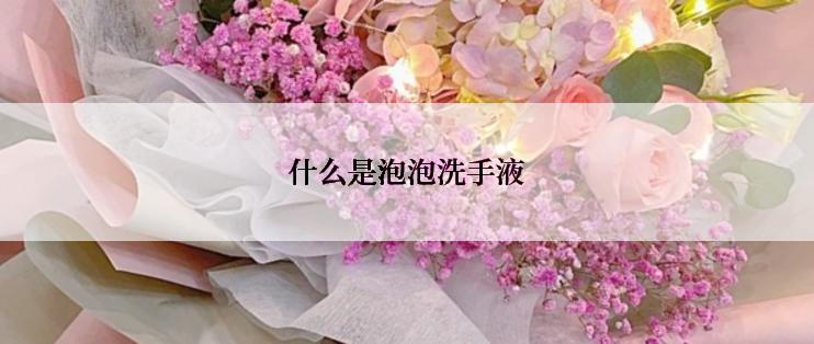 什么是泡泡洗手液