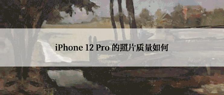 iPhone 12 Pro 的照片质量如何