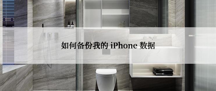 如何备份我的 iPhone 数据