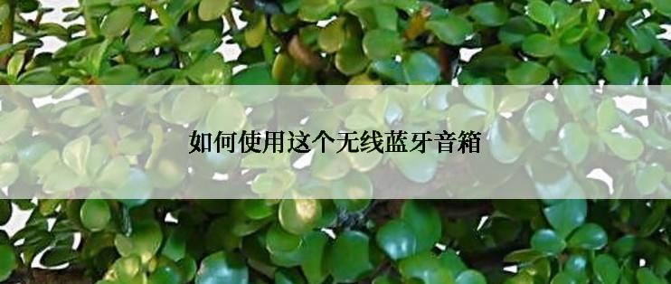 如何使用这个无线蓝牙音箱