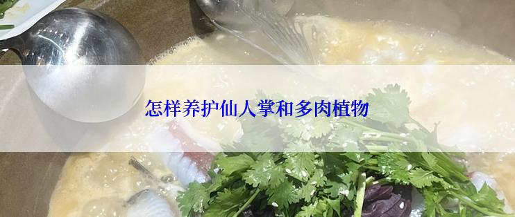 怎样养护仙人掌和多肉植物