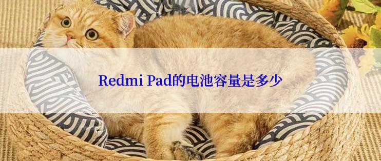 Redmi Pad的电池容量是多少