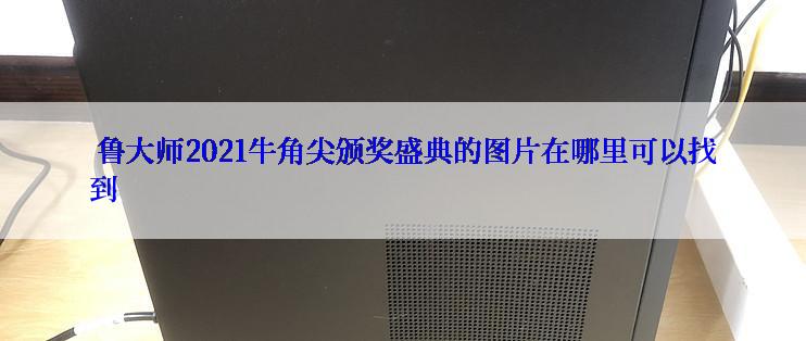  鲁大师2021牛角尖颁奖盛典的图片在哪里可以找到