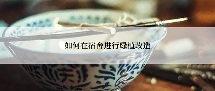 如何在宿舍进行绿植改造