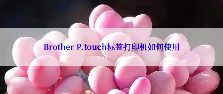 Brother P.touch标签打印机如何使用