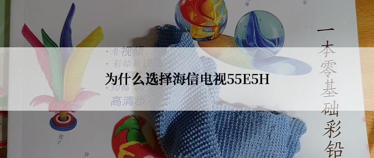 为什么选择海信电视55E5H