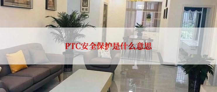 PTC安全保护是什么意思