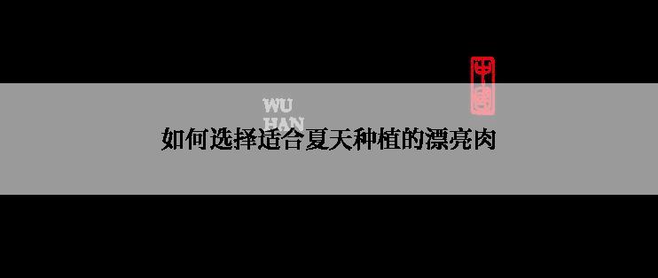 如何选择适合夏天种植的漂亮肉