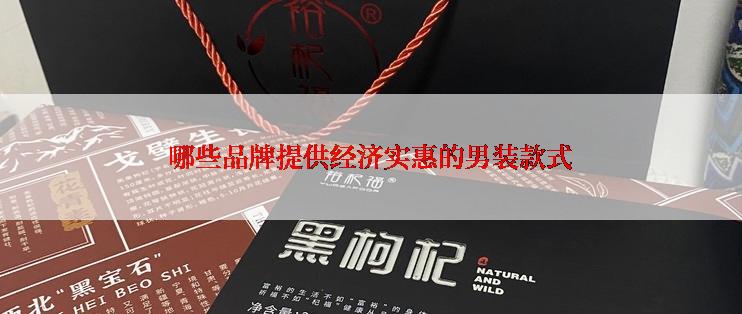 哪些品牌提供经济实惠的男装款式