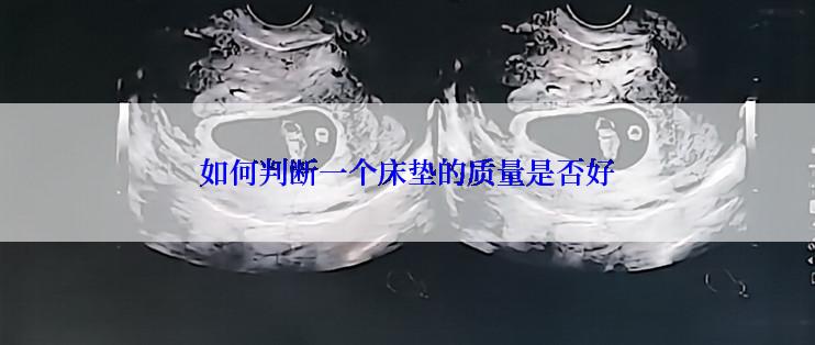 如何判断一个床垫的质量是否好