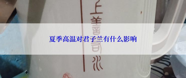 夏季高温对君子兰有什么影响