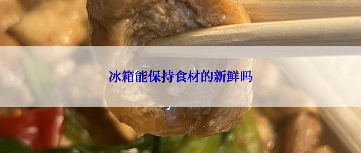 冰箱能保持食材的新鲜吗