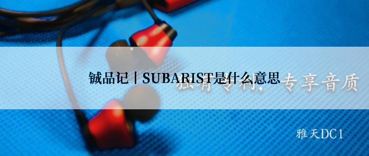 铖品记丨SUBARIST是什么意思