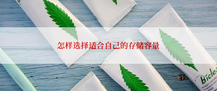 怎样选择适合自己的存储容量