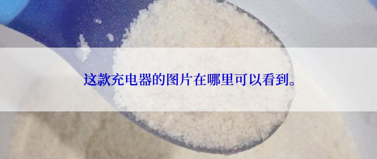 这款充电器的图片在哪里可以看到。