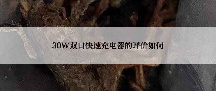 30W双口快速充电器的评价如何