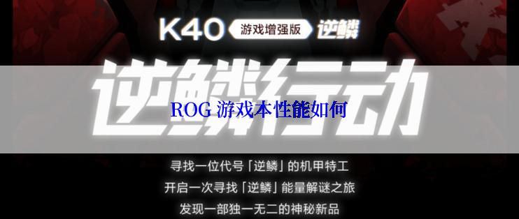 ROG 游戏本性能如何