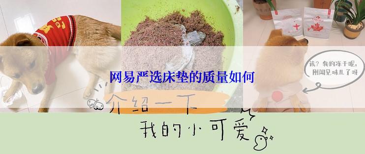 网易严选床垫的质量如何