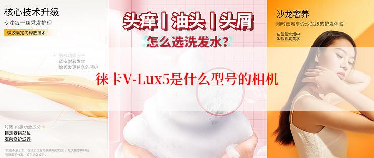 徕卡V-Lux5是什么型号的相机