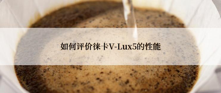 如何评价徕卡V-Lux5的性能