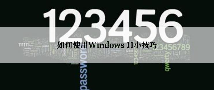 如何使用Windows 11小技巧