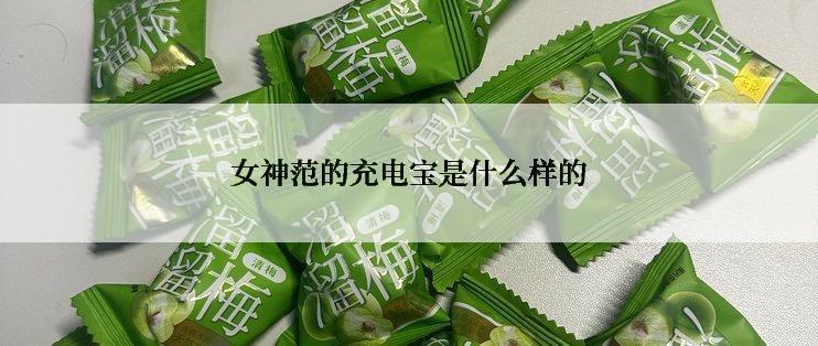 女神范的充电宝是什么样的