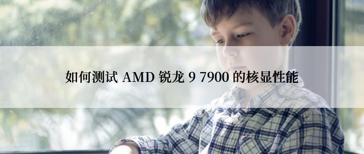 如何测试 AMD 锐龙 9 7900 的核显性能