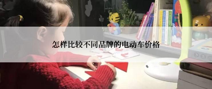 怎样比较不同品牌的电动车价格