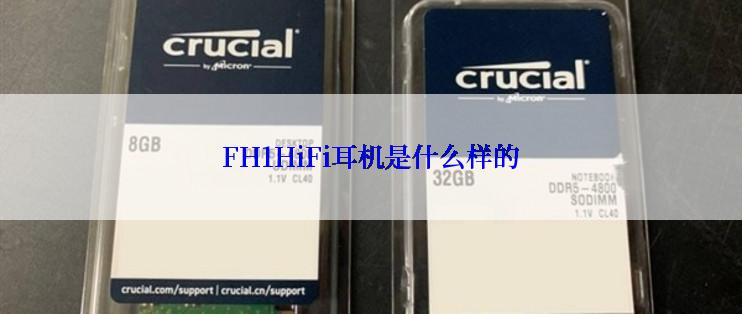 FH1HiFi耳机是什么样的