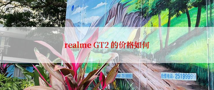 realme GT2 的价格如何