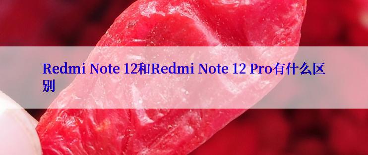 Redmi Note 12和Redmi Note 12 Pro有什么区别