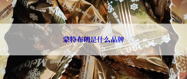 蒙特布朗是什么品牌