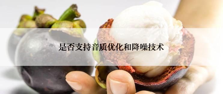 是否支持音质优化和降噪技术