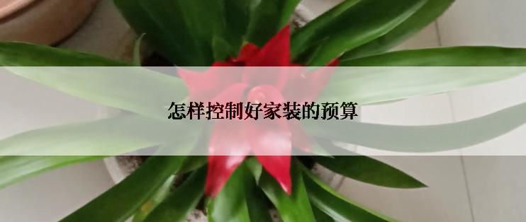 怎样控制好家装的预算