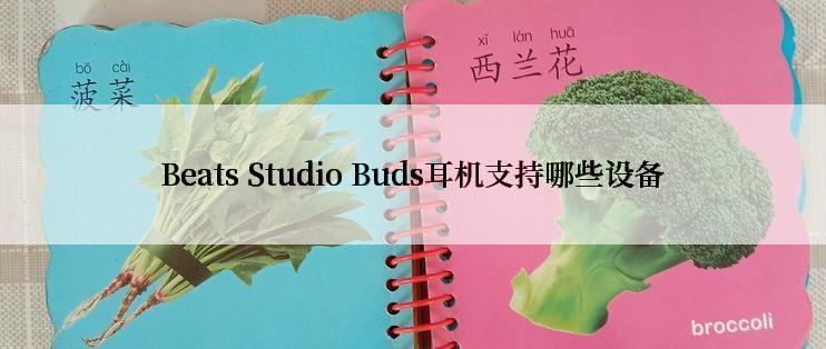 Beats Studio Buds耳机支持哪些设备