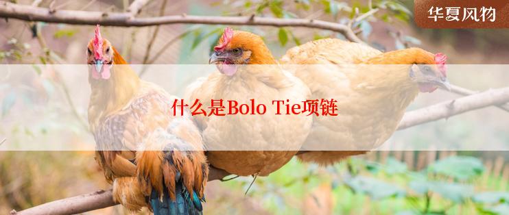 什么是Bolo Tie项链