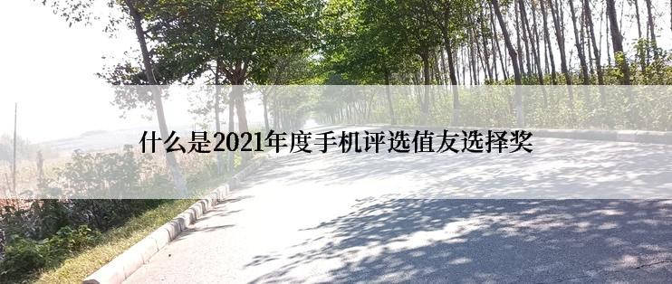 什么是2021年度手机评选值友选择奖