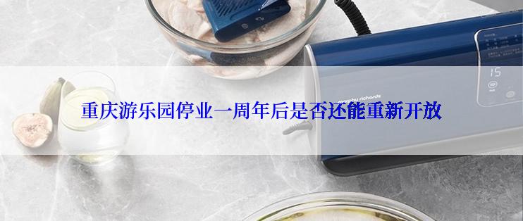 重庆游乐园停业一周年后是否还能重新开放