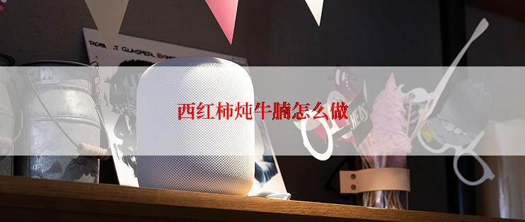 西红柿炖牛腩怎么做