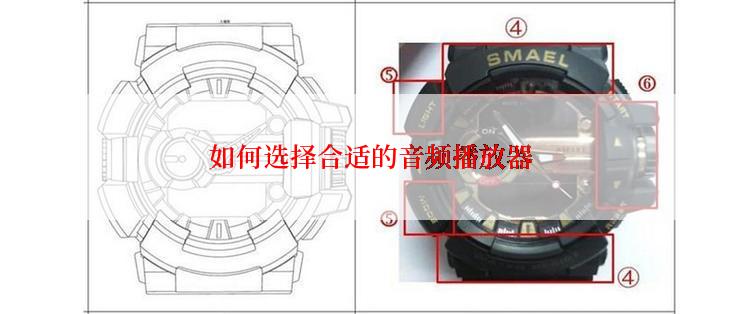 如何选择合适的音频播放器
