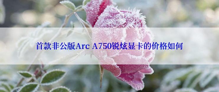 首款非公版Arc A750锐炫显卡的价格如何