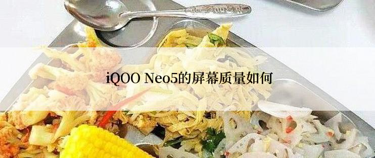  iQOO Neo5的屏幕质量如何