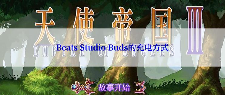 Beats Studio Buds的充电方式