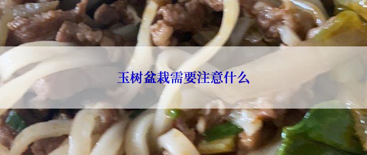 玉树盆栽需要注意什么