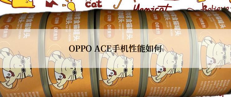 OPPO ACE手机性能如何