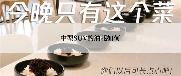 中型SUV的油耗如何